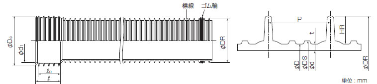 本管部共通寸法